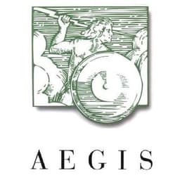 aegisnetinc