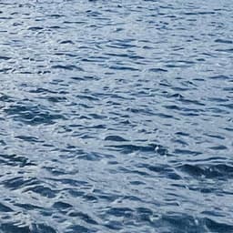 bierschneideremanuel