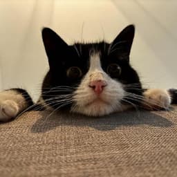 jurrebrandseninfosupport