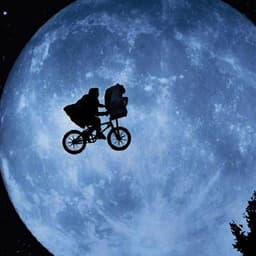 leonardogilrodriguez