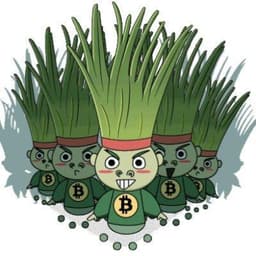 cryptoleek-team